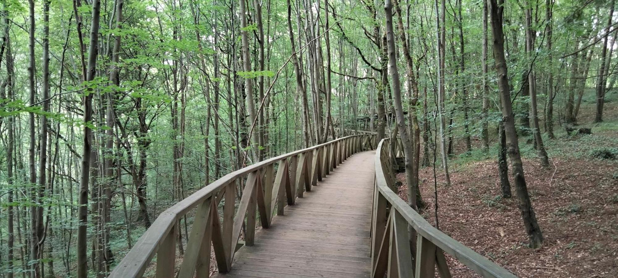 El Mirador de La Hayuela, a 7 min de Comillas Exterior foto